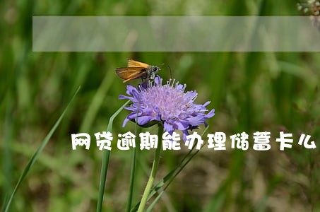 网贷逾期能办理储蓄卡么 网贷逾期能办理储蓄卡么
