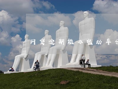 网贷逾期能办电动车分期吗 网贷逾期能办电动车分期吗