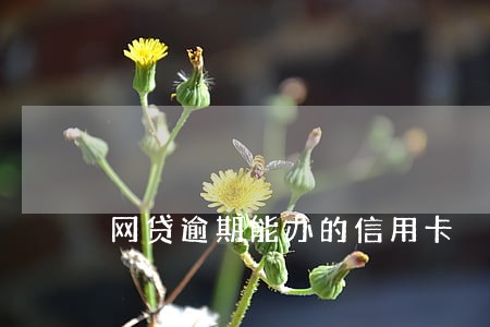 网贷逾期能办的信用卡 网贷逾期能办的信用卡