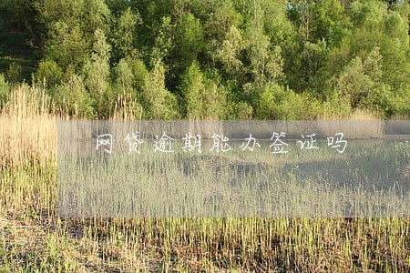 网贷逾期能办签证吗 网贷逾期能办签证吗