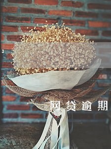 网贷逾期能办车贷不 网贷逾期能办车贷不