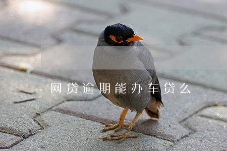 网贷逾期能办车贷么 网贷逾期能办车贷么