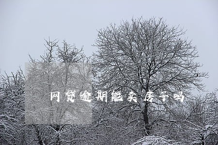网贷逾期能卖房子吗 网贷逾期能卖房子吗