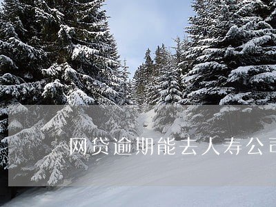 网贷逾期能去人寿公司上班吗 网贷逾期能去人寿公司上班吗
