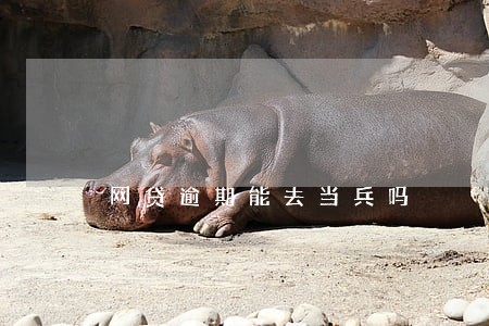 网贷逾期能去当兵吗