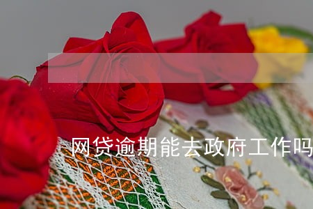 网贷逾期能去政府工作吗 网贷逾期能去政府工作吗