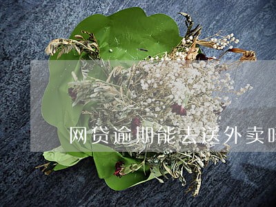 网贷逾期能去送外卖吗 网贷逾期能去送外卖吗