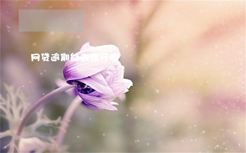 网贷逾期能去银行吗 网贷逾期能去银行吗