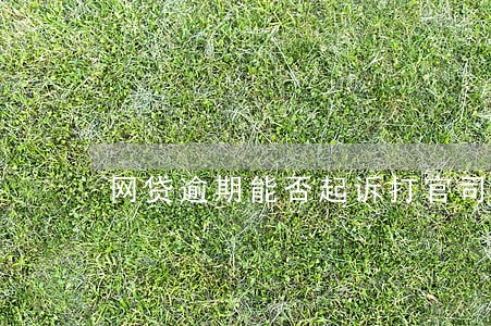 网贷逾期能否起诉打官司 网贷逾期能否起诉打官司