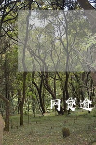 网贷逾期能回国吗