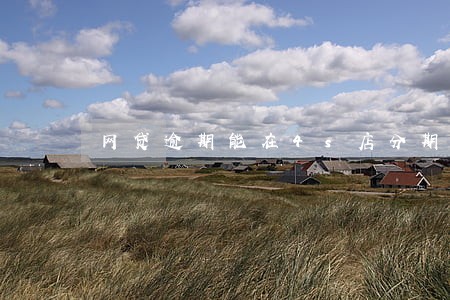 网贷逾期能在4s店分期买车吗
