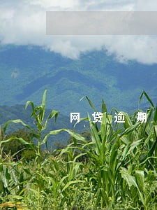 网贷逾期能在政府备案吗 网贷逾期能在政府备案吗