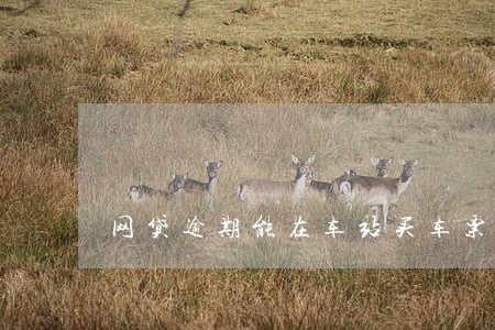 网贷逾期能在车站买车票吗 网贷逾期能在车站买车票吗