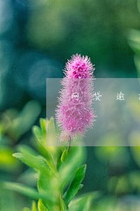 网贷逾期能坐飞机 网贷逾期能坐飞机
