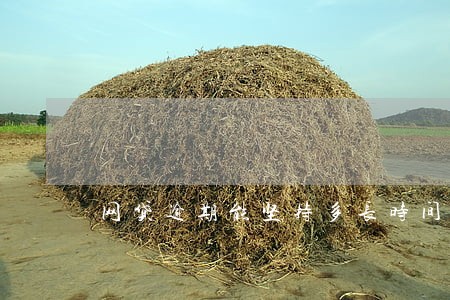 网贷逾期能坚持多长时间 网贷逾期能坚持多长时间