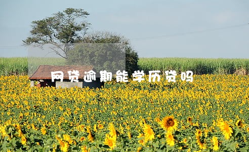 网贷逾期能学历贷吗 网贷逾期能学历贷吗