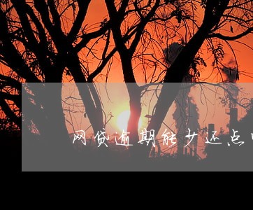 网贷逾期能少还点吗