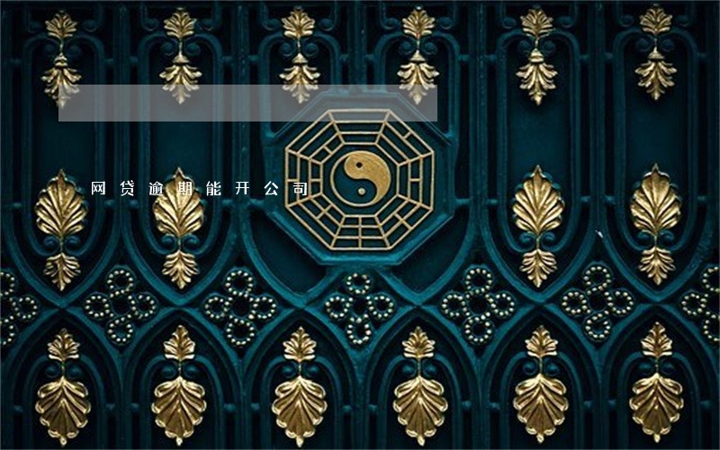 网贷逾期能开公司 网贷逾期能开公司