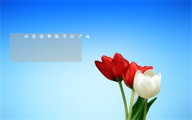 网贷逾期能开公户吗 网贷逾期能开公户吗