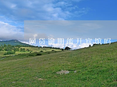 网贷逾期能开宾馆吗