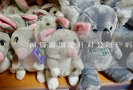 网贷逾期能开对公账户吗 网贷逾期能开对公账户吗