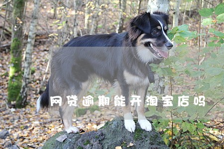 网贷逾期能开淘宝店吗 网贷逾期能开淘宝店吗