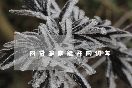 网贷逾期能开网约车 网贷逾期能开网约车