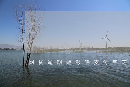 网贷逾期能影响支付宝芝麻分 网贷逾期能影响支付宝芝麻分