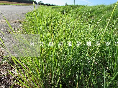 网贷逾期能影响装修贷吗 网贷逾期能影响装修贷吗