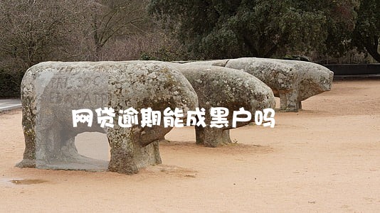 网贷逾期能成黑户吗 网贷逾期能成黑户吗