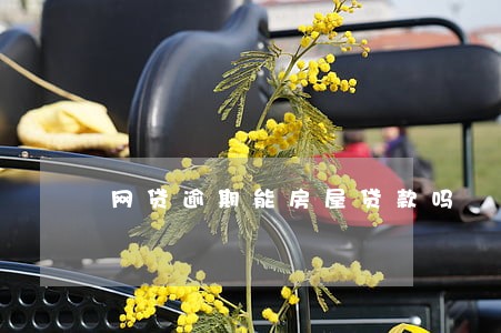网贷逾期能房屋贷款吗 网贷逾期能房屋贷款吗