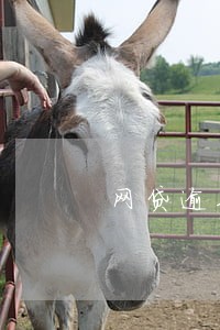 网贷逾期能扣几张银行卡 网贷逾期能扣几张银行卡