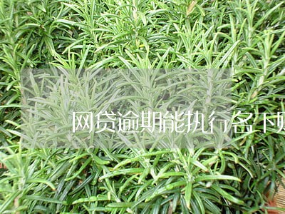网贷逾期能执行名下财产吗 网贷逾期能执行名下财产吗