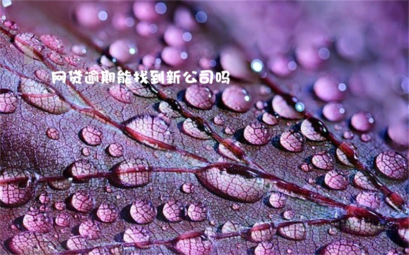 网贷逾期能找到新公司吗 网贷逾期能找到新公司吗
