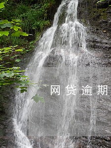 网贷逾期能报书记员吗 网贷逾期能报书记员吗