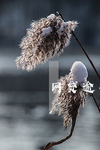 网贷逾期能报考驾照吗 网贷逾期能报考驾照吗