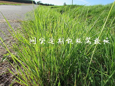 网贷逾期能报驾校嘛 网贷逾期能报驾校嘛