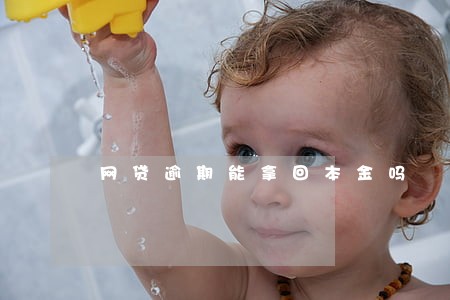 网贷逾期能拿回本金吗 网贷逾期能拿回本金吗
