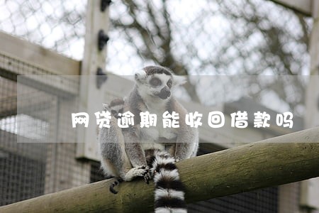 网贷逾期能收回借款吗 网贷逾期能收回借款吗