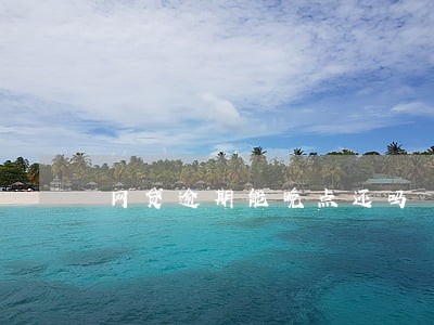 网贷逾期能晚点还吗 网贷逾期能晚点还吗