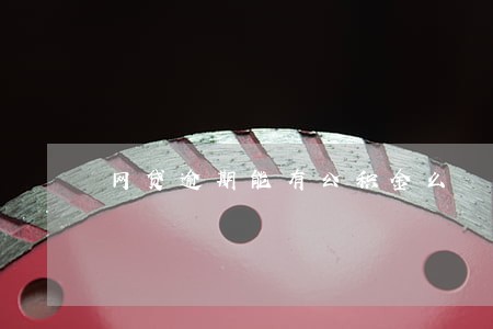 网贷逾期能有公积金么 网贷逾期能有公积金么