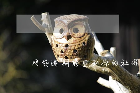 网贷逾期能查到你的社保记录吗 网贷逾期能查到你的社保记录吗