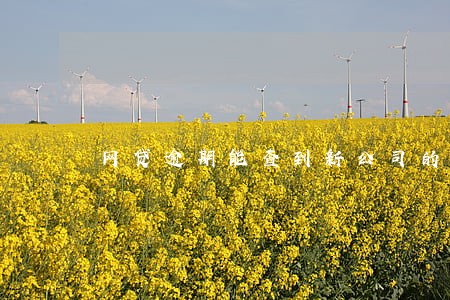 网贷逾期能查到新公司的电话嘛 网贷逾期能查到新公司的电话嘛