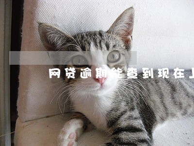 网贷逾期能查到现在上班地址 网贷逾期能查到现在上班地址