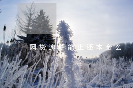 网贷逾期能止还本金么 网贷逾期能止还本金么