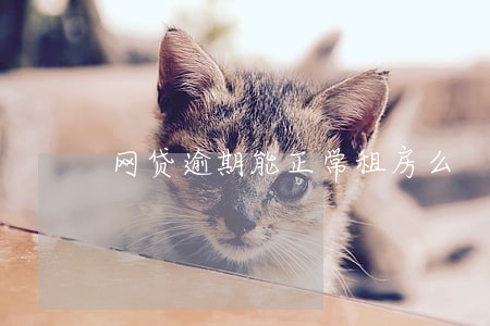 网贷逾期能正常租房么 网贷逾期能正常租房么
