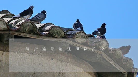 网贷逾期能注册货拉拉吗 网贷逾期能注册货拉拉吗