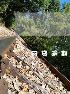 网贷逾期能消除 网贷逾期能消除