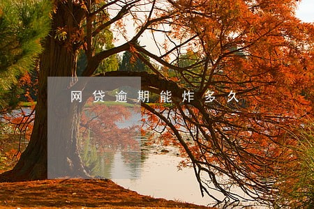 网贷逾期能炸多久 网贷逾期能炸多久