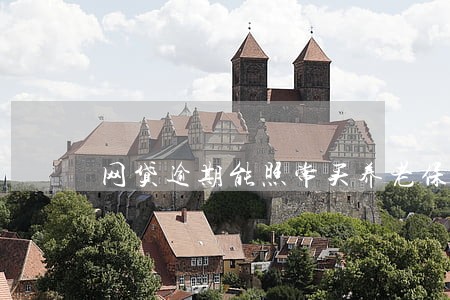 网贷逾期能照常买养老保险吗 网贷逾期能照常买养老保险吗